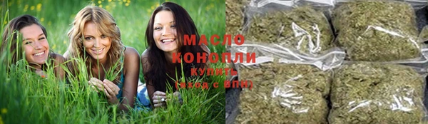 молекула духа Балахна