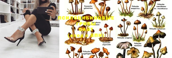 молекула духа Балахна