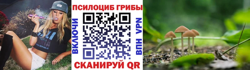 Галлюциногенные грибы Magic Shrooms  наркошоп  Верхотурье 