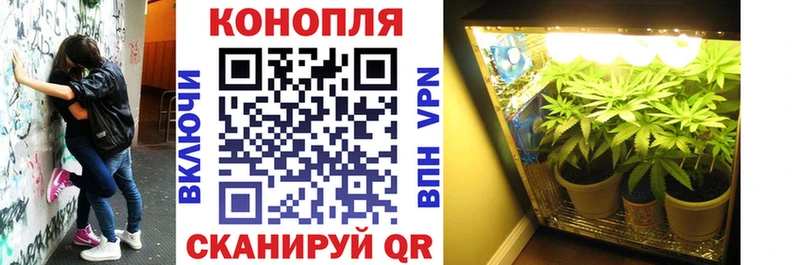 Конопля Ganja  Верхотурье 